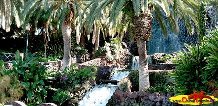 Loro Park Puerto de la Cruz